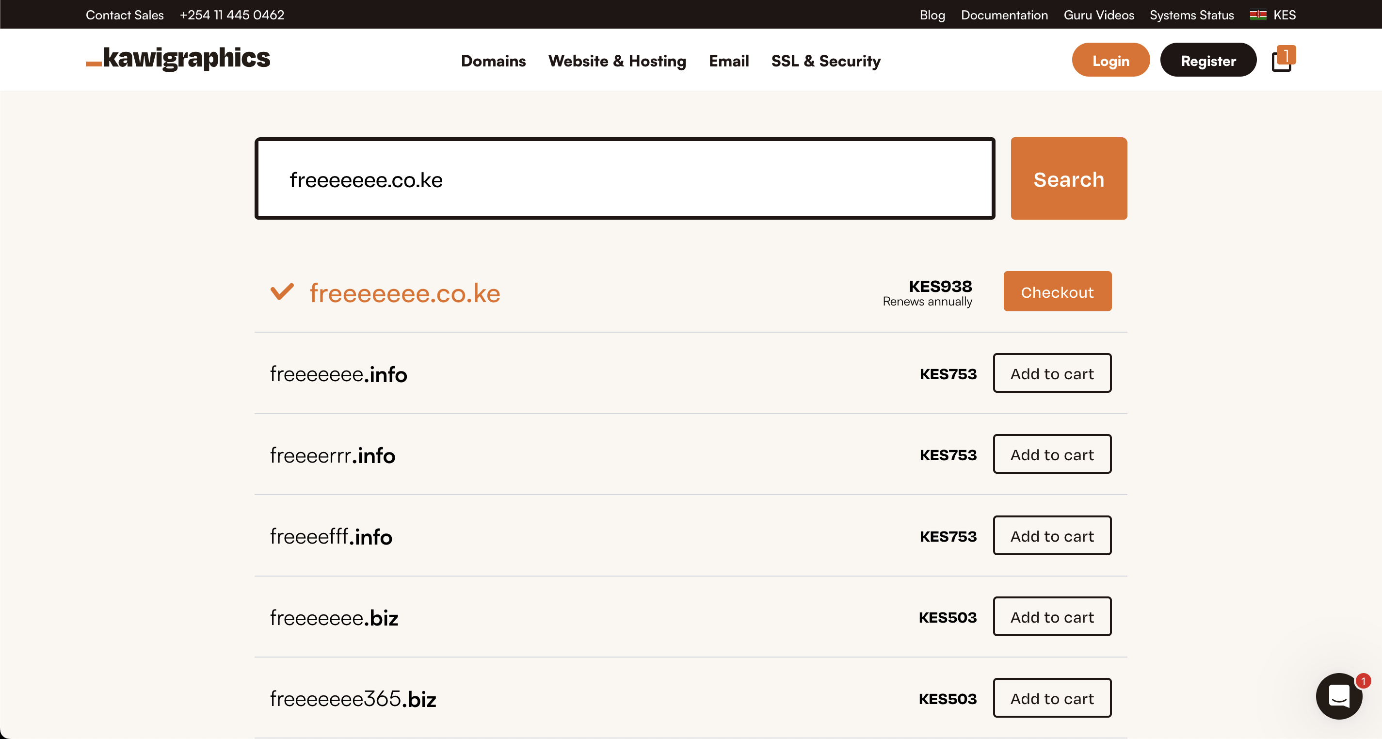 Domain registration checkout process